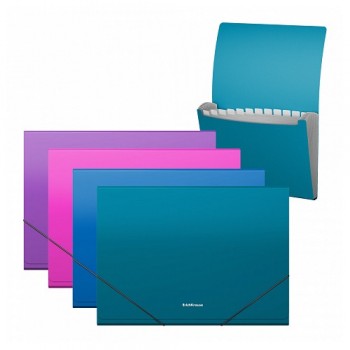 Папка со 12 прегради Вивид А4 Erich Krause